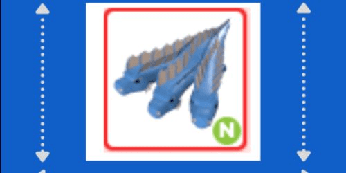 Product Showcase