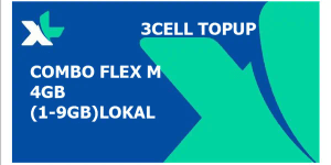 Data Combo Flex M 4GB (30Hari)