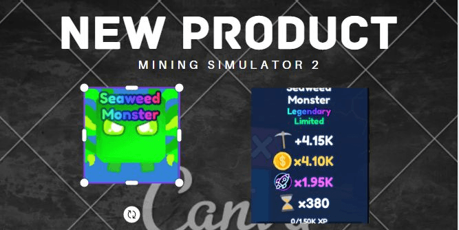 Product Showcase