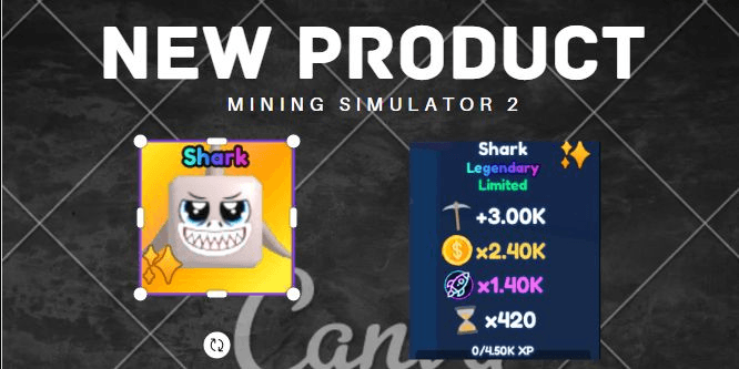 Product Showcase