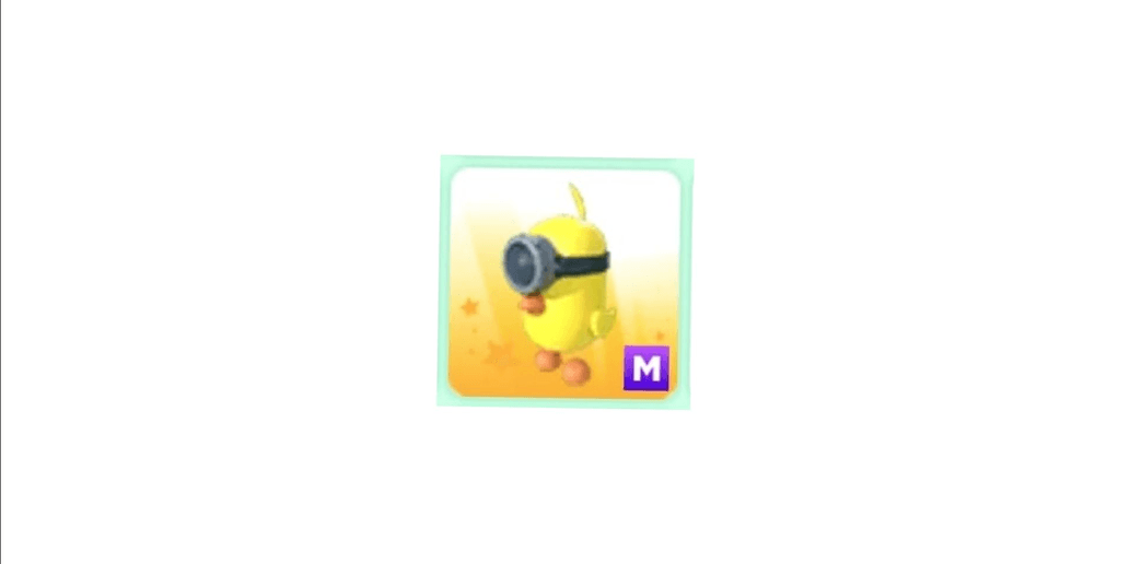 Product Showcase