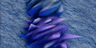 product-image-0