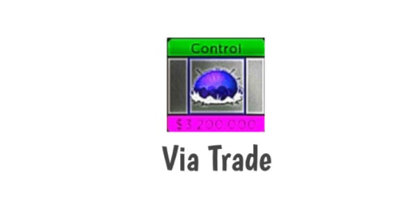 Product Showcase