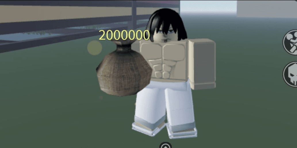 Product Showcase