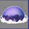 seller-image