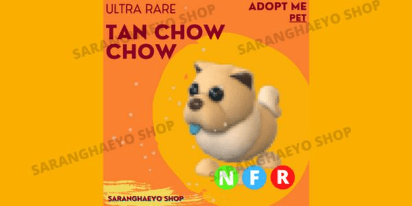 Beli Item Adopt Me TAN CHOW-CHOW / CHOW CHOW NFR Roblox Terlengkap dan ...