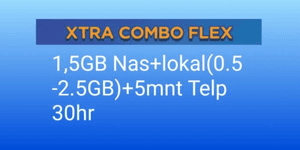 Data Combo Flex S 1.5GB (30Hari)