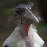 seller-image