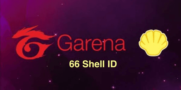 Gambar Product 66 Shells ID