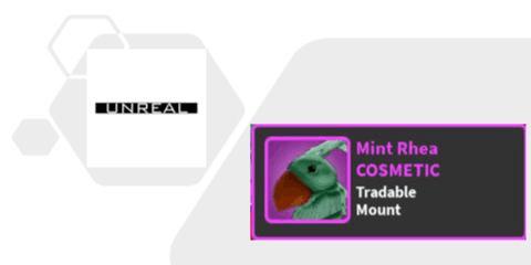 Product Showcase