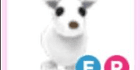product-image-0