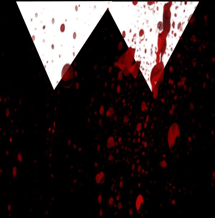 logo jamesSTK