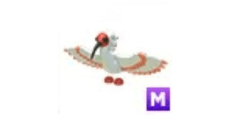 product-image-0