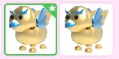 Golden Griffin Pet adopt me