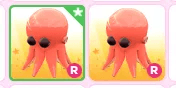 octopus R