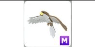 product-image-0