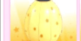 product-image-0