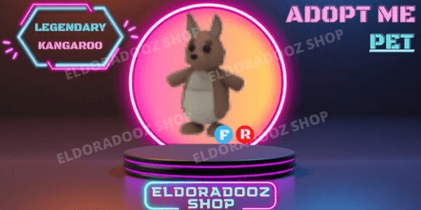 Product Showcase