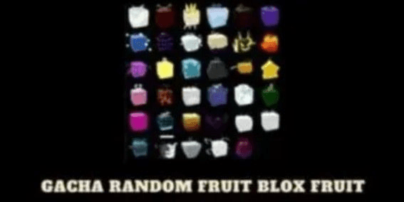 Gambar Product Gacha Fruit Random SEA1/FIRST SEA