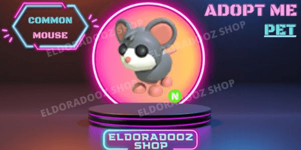 Product Showcase