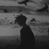 storeAvatar