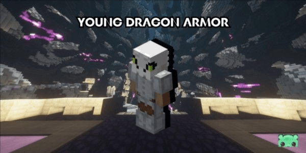 Gambar Product Young Dragon Armor