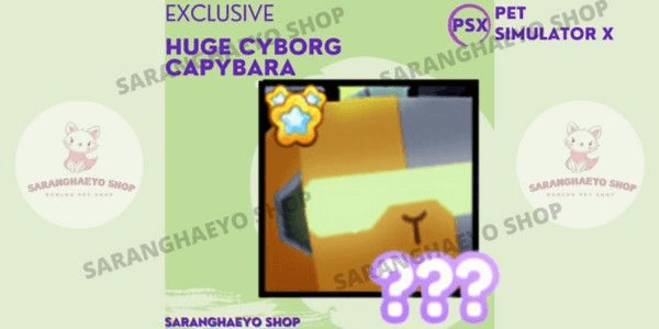Product Showcase