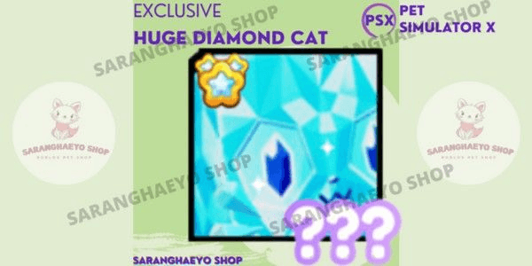Product Showcase
