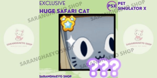 Product Showcase
