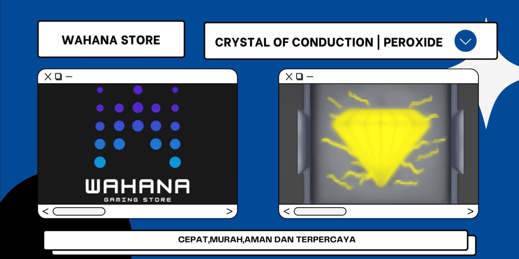 Product Showcase