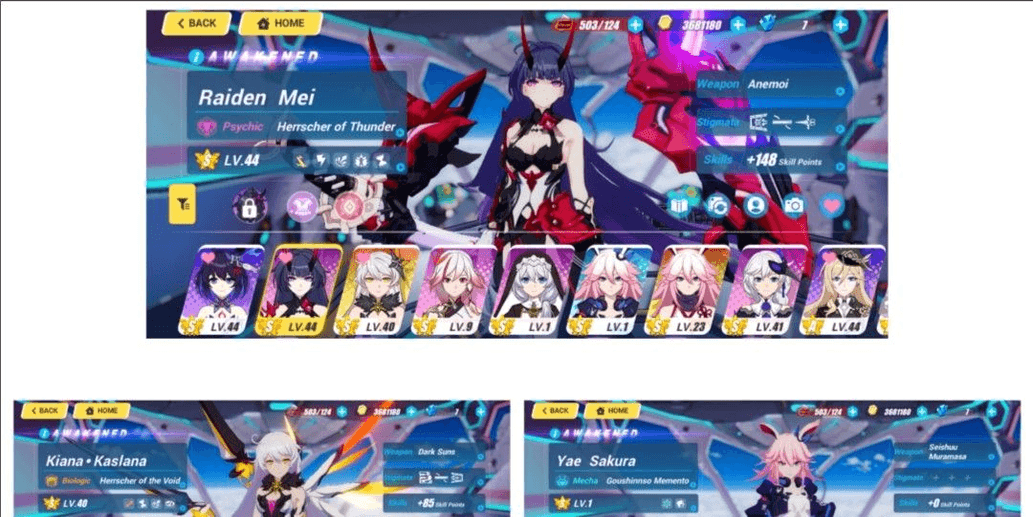 Product Showcase