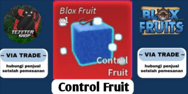 Gambar Product Control (Natural)