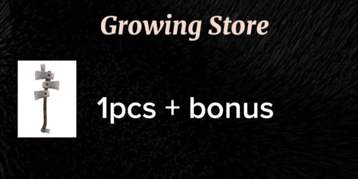 Product Showcase