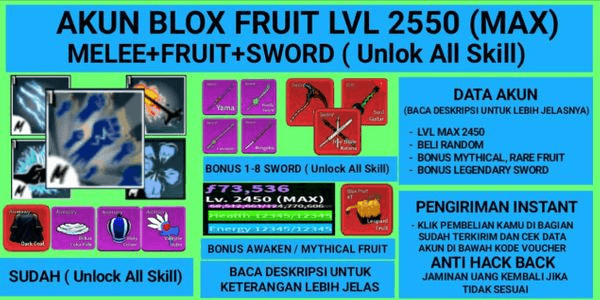 Blox Fruits, Mink V4 Tier 1, Account Level 2450