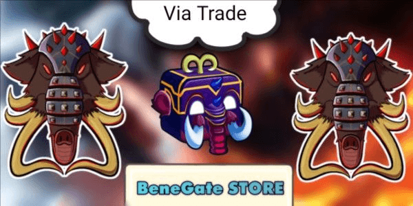 Product Showcase