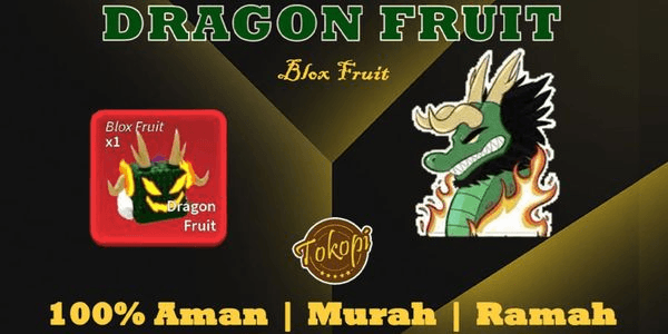 Gambar Product Dragon Fruit || via trade || Blox Fruits