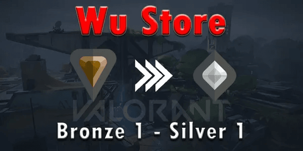 Bronze - Silver