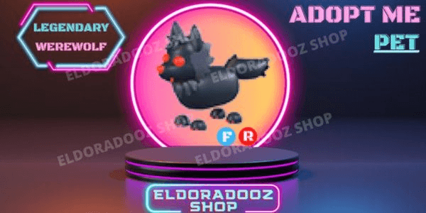Product Showcase