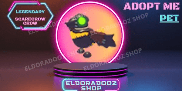Product Showcase