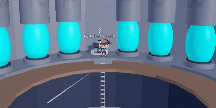 Product Showcase