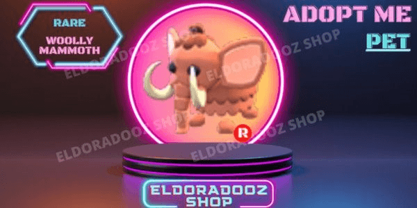 Product Showcase
