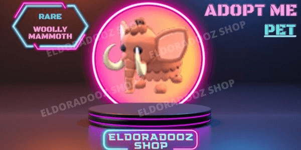 Product Showcase
