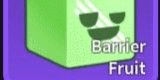 Gambar Product Barrier Fruit