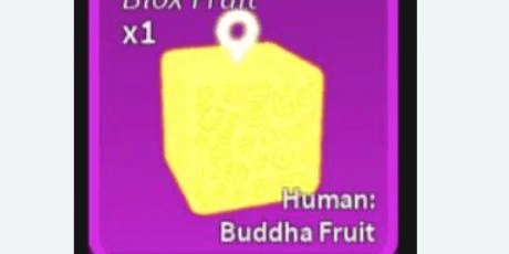 Gambar Product Human: Buddha (Beast)