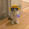 seller-image