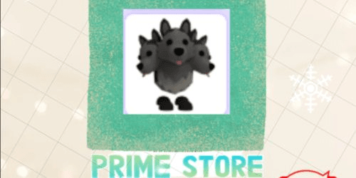 Product Showcase