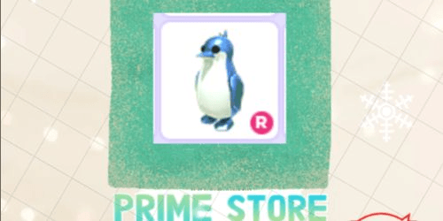Product Showcase
