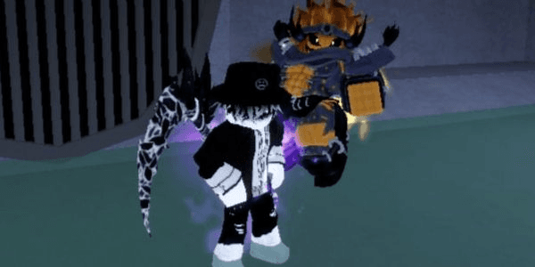 Product Showcase