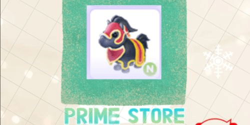 Product Showcase