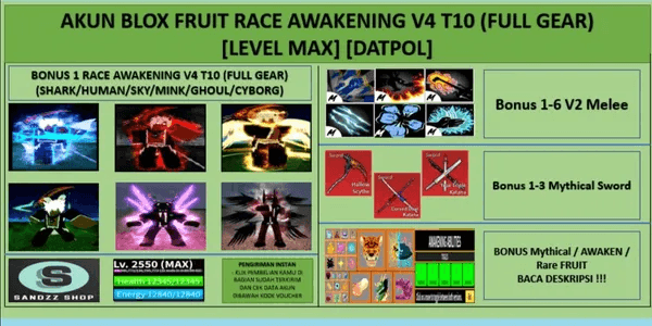 Blox Fruit Account Lv:2450Max, Full Gear Awaken Shark Race V4, Dark Blade  (Yoru Gamepass), Godhuman, Mochi V2, CDK, Soul Guitar, Hallow Scythe